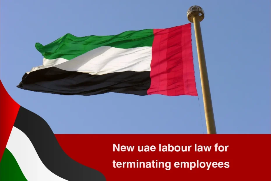 new uae labour law for terminating employees
