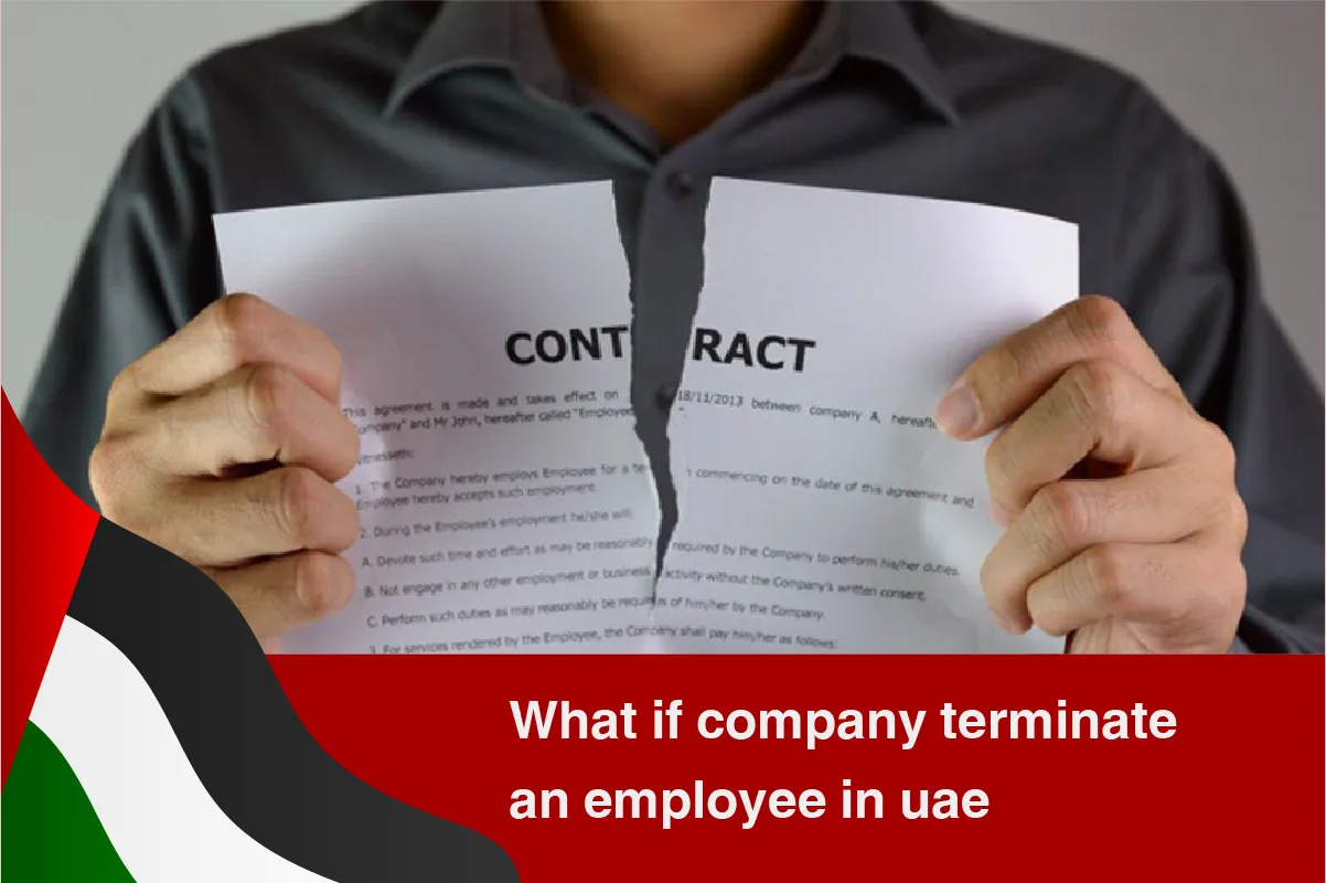 dubai-what-if-company-terminate-an-employee-in-uae